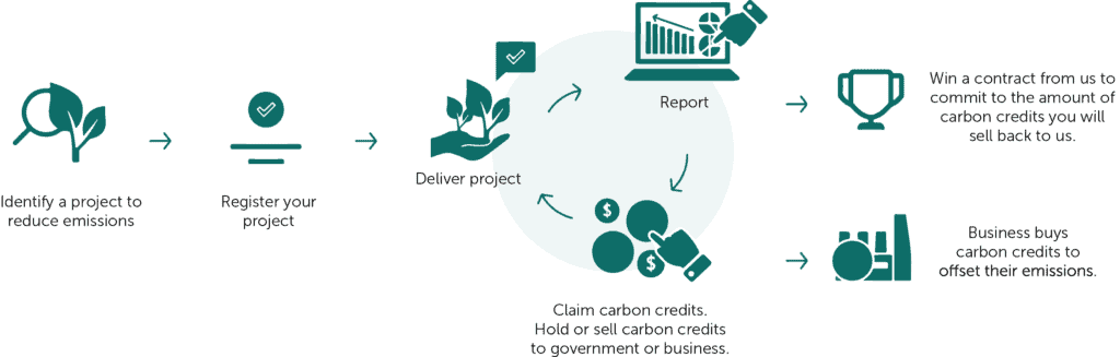 carbon projects graph