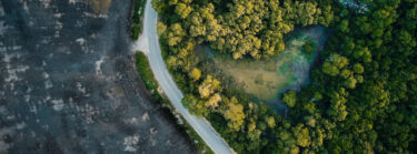aerial view of a forest with a winding road cutting through it