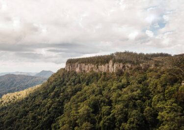 Ndevr Environmental - Anthesis Australia