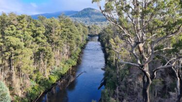 Protecting biodiversity - environmental accounting - valley of trees and river