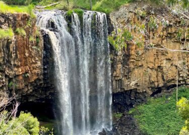 State of the Environment