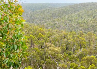 the chubb review brisbane ranges forest 2 ndevr envrionmental