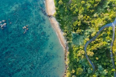 SBT science based target - ariel beach forest