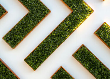 ESG Materiality - ariel hedge and pathway - Anthesis