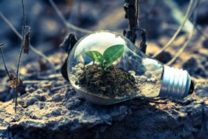 plant hero 300x200 1