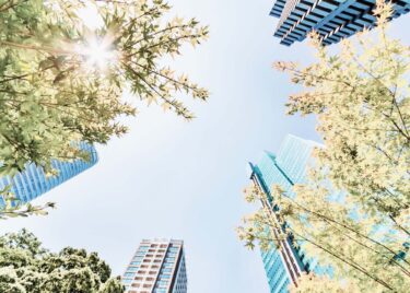 ASRS sky coulds Anthesis