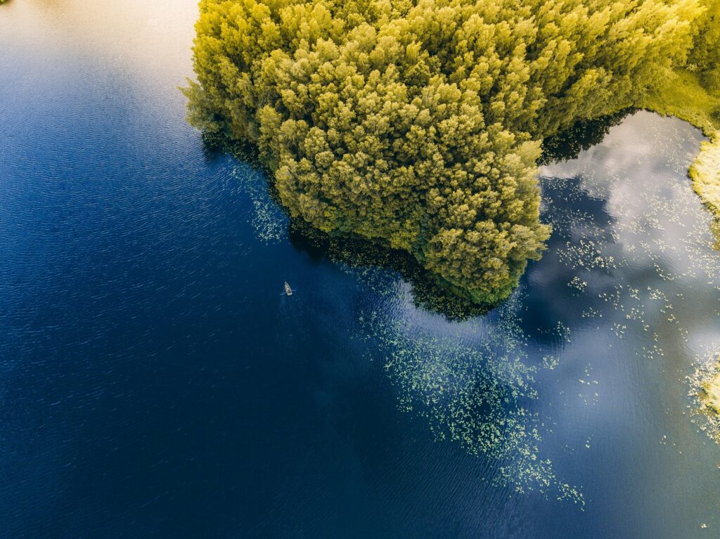 aerial view of nature
