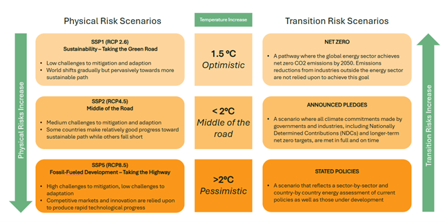 climate scenario analysis anthesis