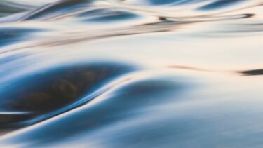 sbti flag anthesis water