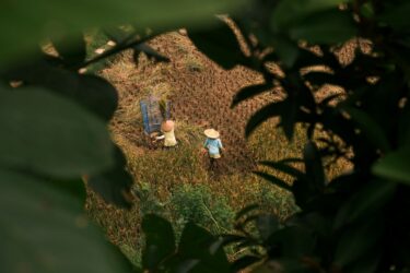 agricultural workers