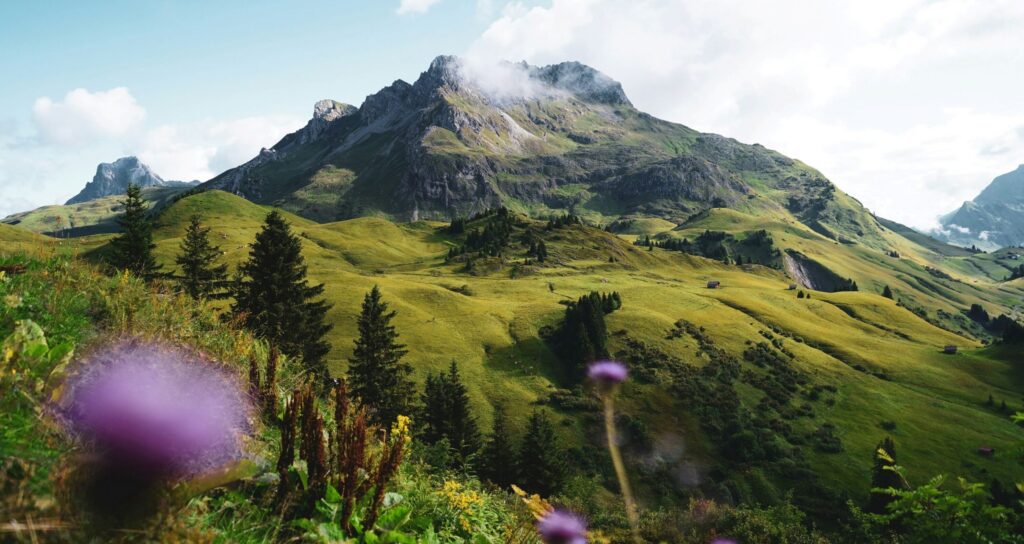 sustainability reporting anthesis mountain-nature-landscape-spring-ecosystem
