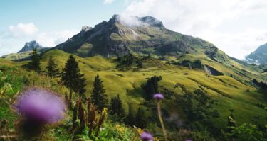 sustainability reporting anthesis mountain-nature-landscape-spring-ecosystem