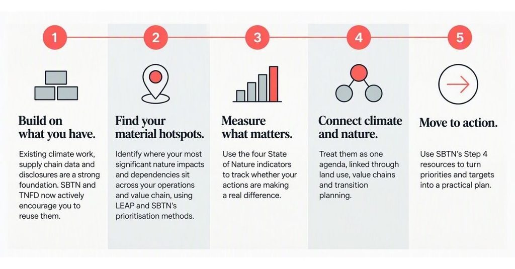 anthesis nature 5 steps