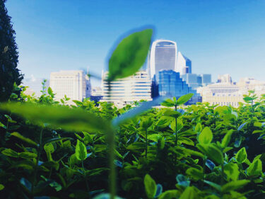 netzero webinar
