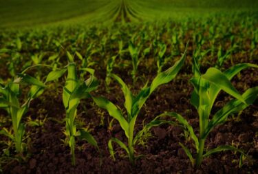 finançament sostenible per fertinagro