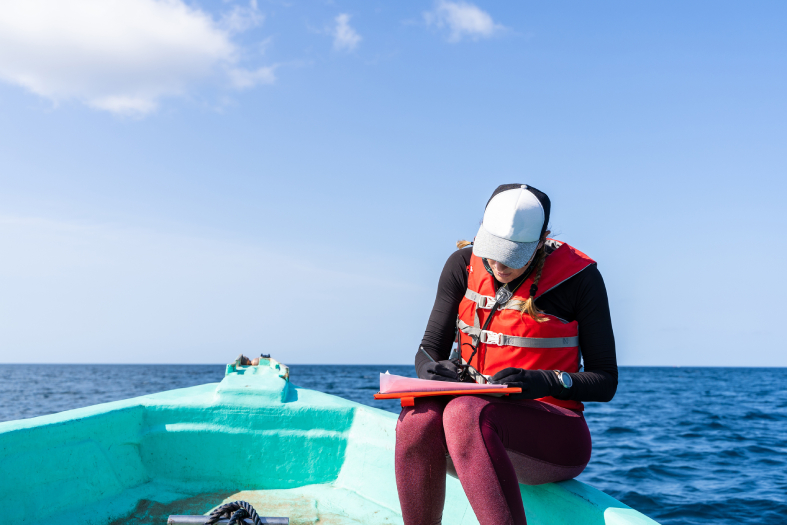 la investigació als oceans és la base de les solucions futures