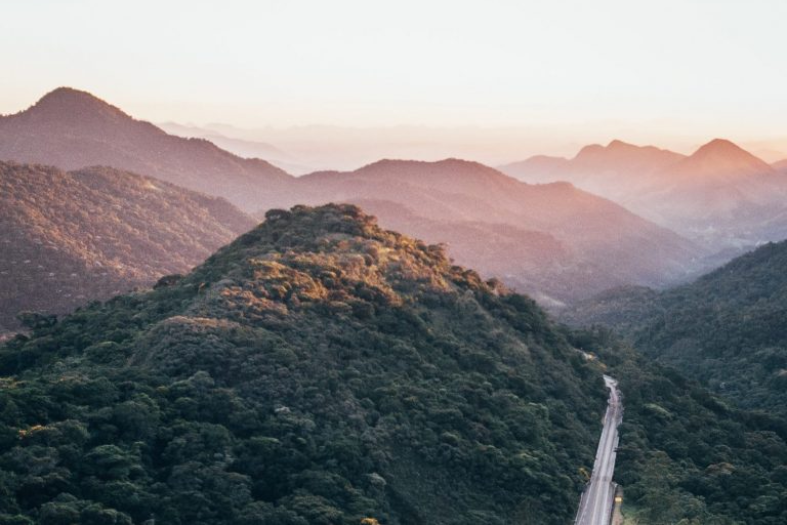 naturalesa i biodiversitat amb una carretera al mig