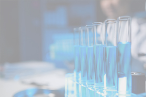 webinar realitzat 2oct