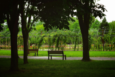 parc