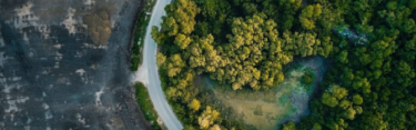 imagen de biodiversidad, naturaleza y una carretera
