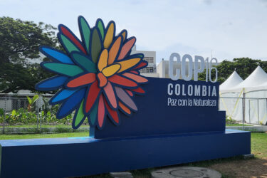 cop 16 colombia 2024 1024x683 1