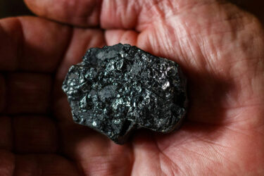 foto articulo transicionhacianetzero