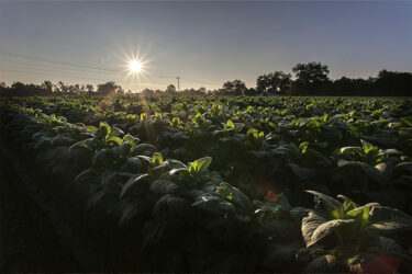 foto entrada ecovadisamericalatina