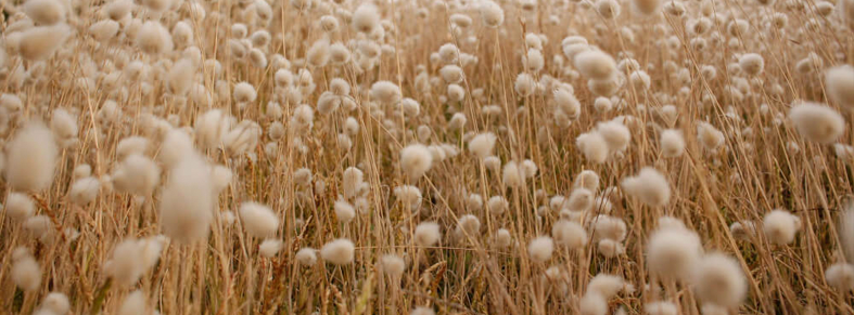 foto sostenibilidaddelacadenadesuministros interno