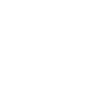logo icontec