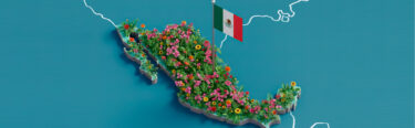 mapa de méxico cubierto de vegetación y flores que representa la sostenibilidad y el cumplimiento de normas nis en el país.