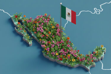 mapa de méxico cubierto de vegetación y flores que representa la sostenibilidad y el cumplimiento de normas nis en el país.