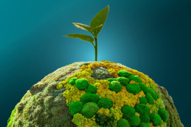 foto entrada sostenibilidad2026