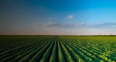 banner ppal anthesiscol web sara 1