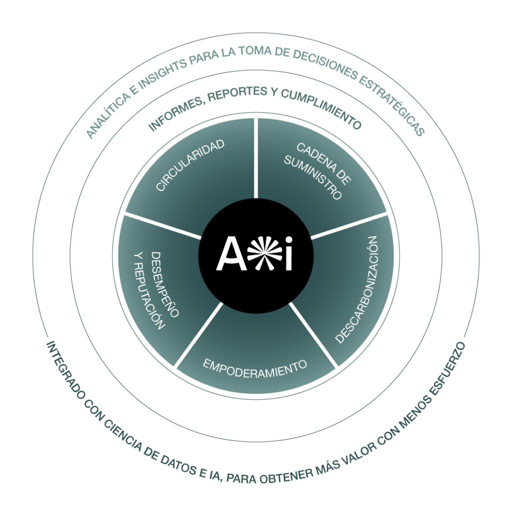 ciclo acompanamiento anthesis intelligence