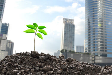 foto entrada guiaparapymes