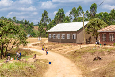 uchindile reforestation project