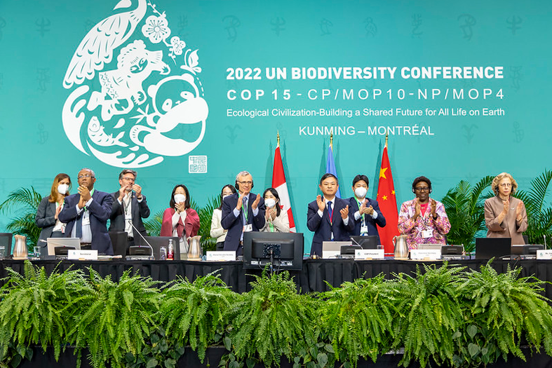 reunión del marco global de biodiversidad en el que se debatió el papel de los actores mundiales, como el sector financiero, en la naturaleza. 