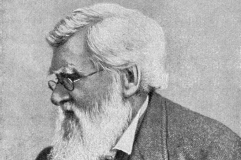 retrato de alfred wallace, padre de la evolución