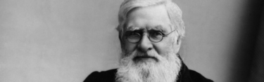 alfred wallace, padre de la evolución