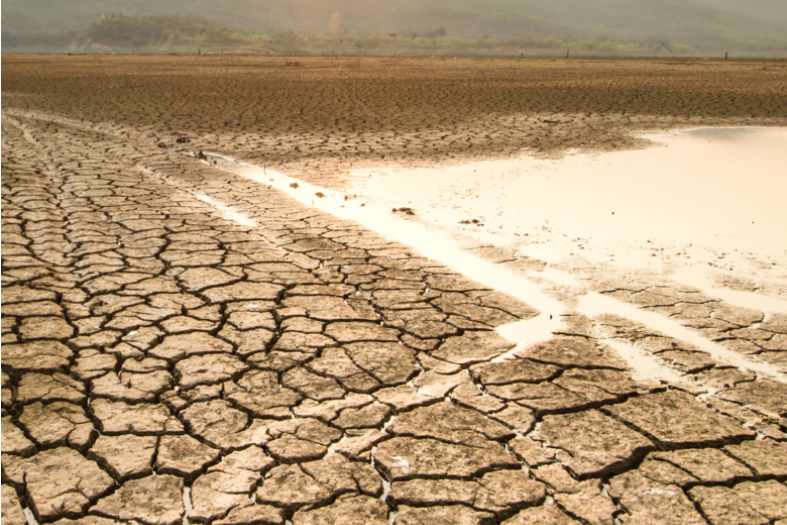terreno seco por la falta de agua