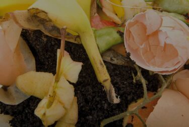 recogida selectiva de orgánica en tarragona