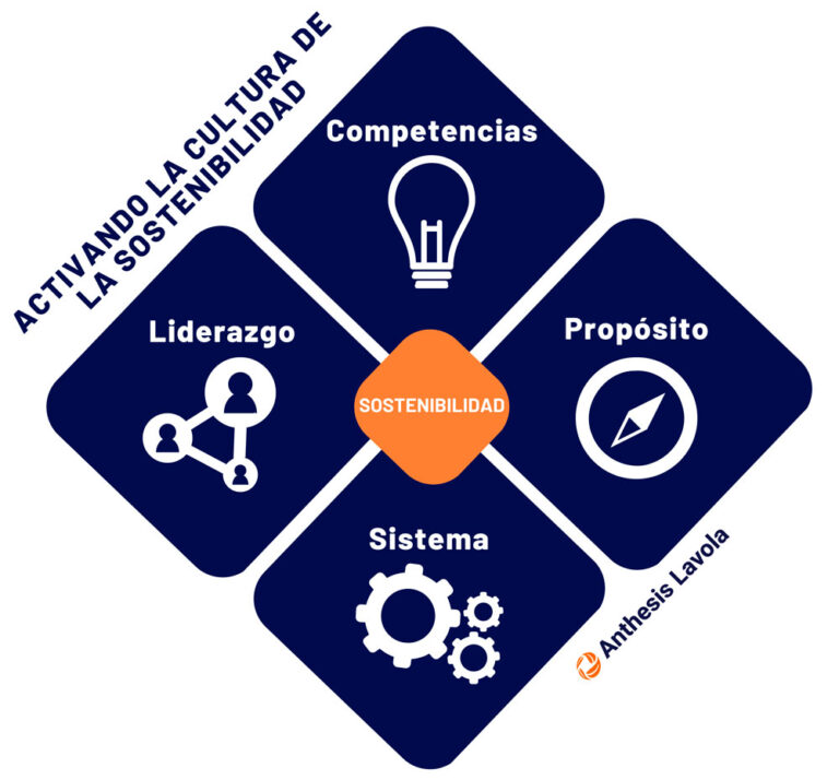 esquema de los 4 pilares fundamentales para la transformación