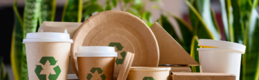 reglamento ecodiseno hero