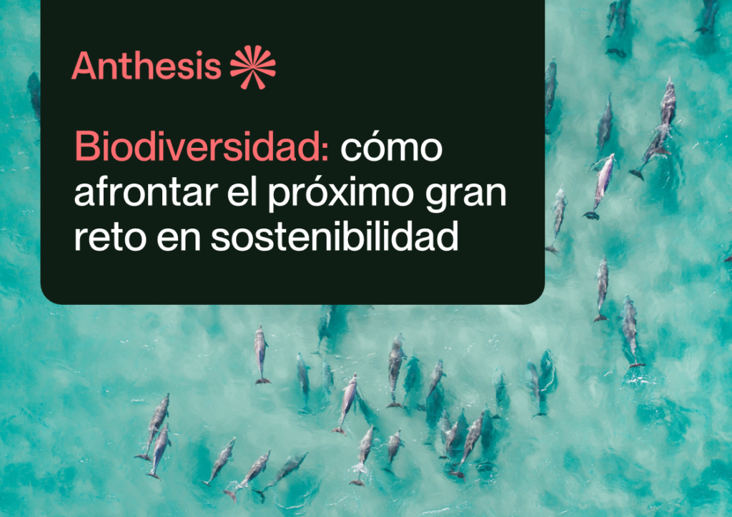 guia biodiversidad como afrontar el proximo gran reto en sostenibilidad