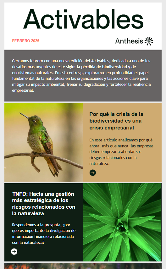 activables febrero
