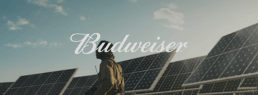 budweiser