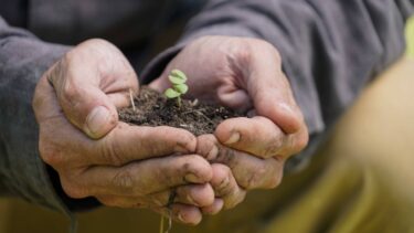 soil hands sprout 3000x1688 1