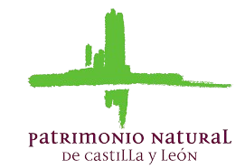 logo fundacion removebg preview