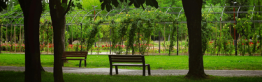 parque
