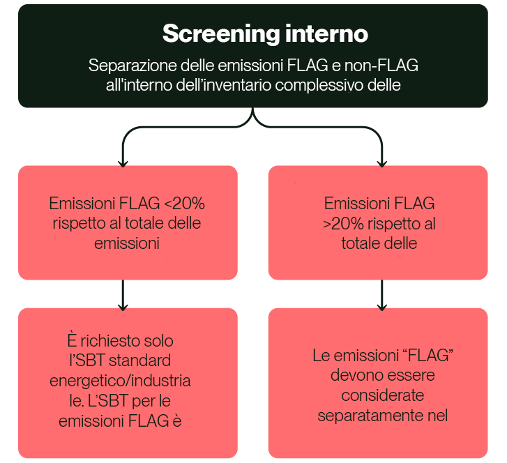 diagramma di flusso flag